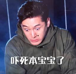 胡歌破棉袄表情包,冬日里的温暖瞬间