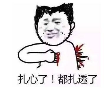 什么梗是网红梗,网络时代的流行文化现象